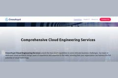 Cloud Migration & Optimization